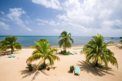 an empty beach with palm trees and the ocean at Lawson Rock - Angelfish 201 condo in Roatan