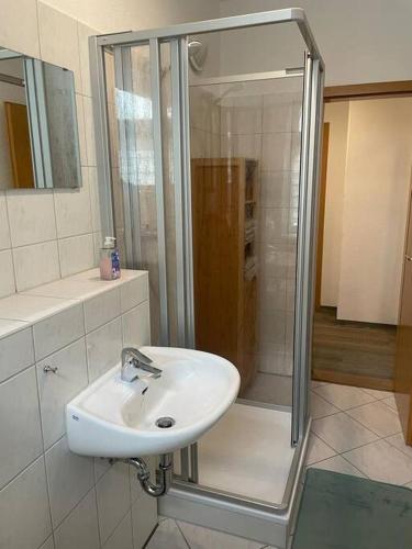 y baño con lavabo y ducha. en Ferienwohnung 3S Real Estate en Freiberg