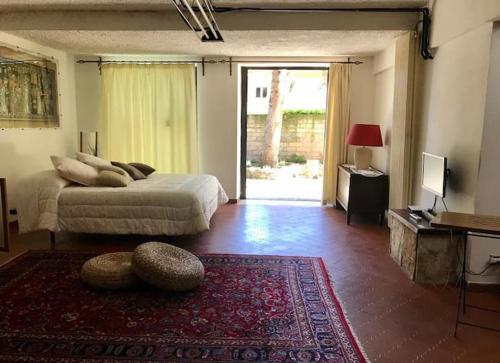 Loft con giardino in zona Appia Antica