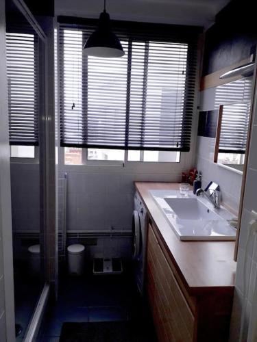 une salle de bain avec un lavabo et des toilettes et des fenêtres dans l'établissement Appt 3 chambres hyper centre très calme très clair quartier place Royale, parking gratuit, à Nantes