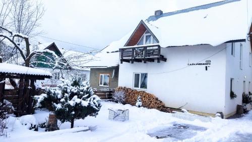 a snow covered house with a cat laying in the snow at Захарова Оселя БАСЕЙН на території є Чан - Джакузі in Slavske