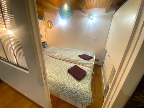 Cette petite chambre comprend un lit avec deux oreillers. dans l'établissement Loft character with a view of court, à Paris