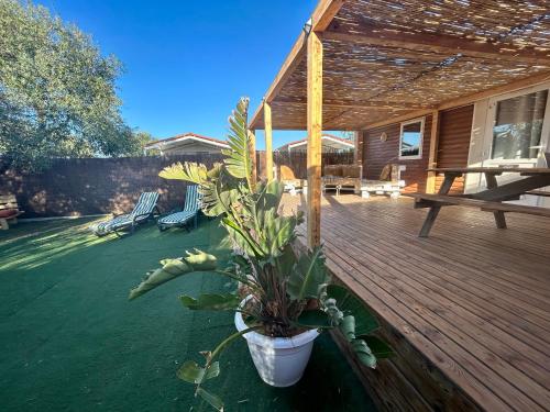 una veranda con una pianta in vaso su una terrazza in legno di LA ALMADRABA del Palmar de Vejer II a El Palmar