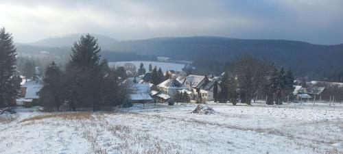a group of houses with snow on the ground at Faház a fenyők alatt - Borostyánkút Wellness Home II Bakonybél in Bakonybél