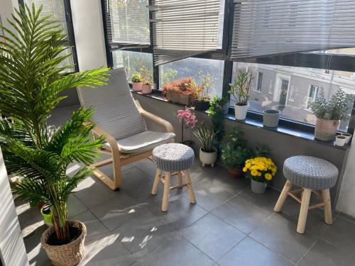 balcone con sedia, sgabelli e piante in vaso di 2BHK Entire Apartment fully equipped 84m2 a Lione