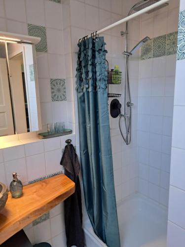 a shower with a blue shower curtain in a bathroom at Gemütliche Waldrandlage in Badenweiler Sehringen Ferienwohnung in Badenweiler