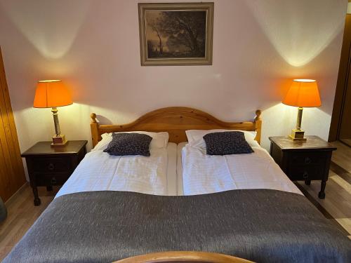 two beds in a bedroom with two lamps on tables at Historic Hotel Steinbock in Wilderswil