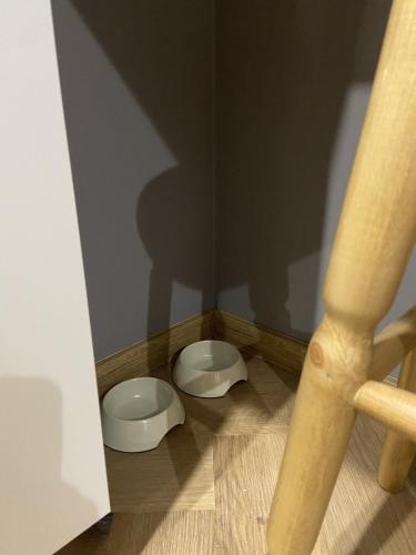 two white bowls on the floor in a room at Apartament Rose Valley Dwa Zero in Szczytna