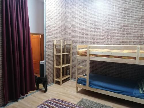 a room with two bunk beds and a cat in it at Global Guest in Sintra