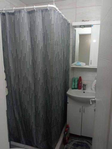 a bathroom with a shower curtain and a sink at Vin Morava in Končarevo