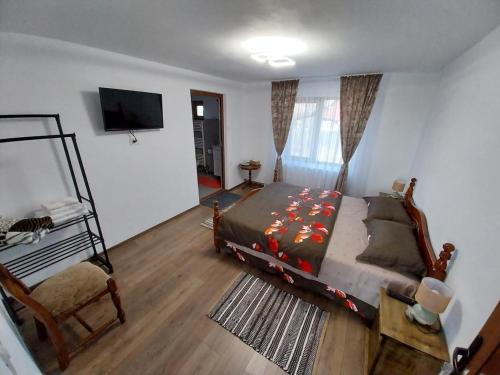 Schlafzimmer mit einem Bett, einem TV und einem Stuhl in der Unterkunft Casa Stefi si Alexia in Polovragi