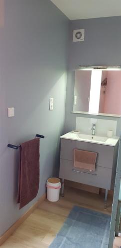 a bathroom with a sink and a mirror at Chambre cosy in Niort