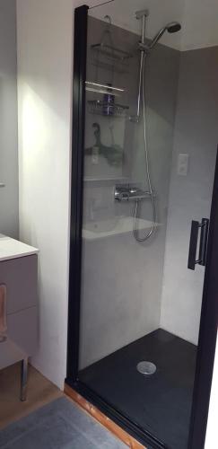La salle de bains est pourvue d'une douche et d'un miroir. dans l'établissement Chambre cosy, à Niort