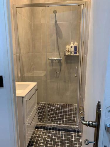 une douche avec une porte vitrée à côté d'un lavabo dans l'établissement Appartement 3 chambres Paris 7e, à Paris