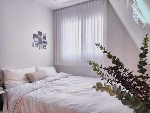 Hongdae 10mins, HapJeong 5mins, AirportBUS 5mins, Largo House SEOUL- Foreigner only_3