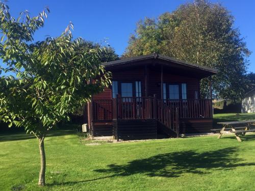 eine Blockhütte in einem Park mit einem Baum in der Unterkunft St Tinney Farm Cornish Cottages & Lodges, a tranquil base only 10 minutes from the beach in Otterham