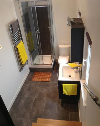 une salle de bain avec douche et toilettes dans l'établissement Studio climatisé indépendant plein cœur de Lyon, à Lyon