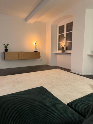 a living room with a table and a green rug at Isaak Apartment Stadtperle in Waldshut-Tiengen