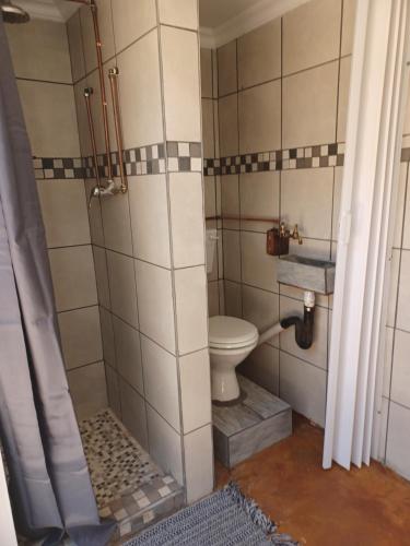 a bathroom with a toilet and a shower at Shalom guesthouse in Bloemfontein
