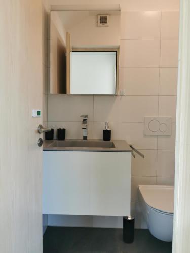 a bathroom with a sink and a toilet at La Casa di SaSa in Arbedo-Castione