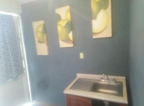 une salle de bains avec un lavabo et trois photos sur le mur. dans l'établissement La Guarida, à Rancho de la Cruz