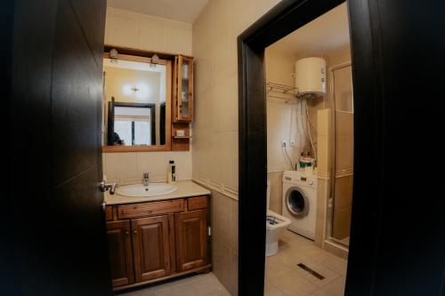 a bathroom with a sink and a washing machine at SpringChillVillaBrezovica in Prevalla