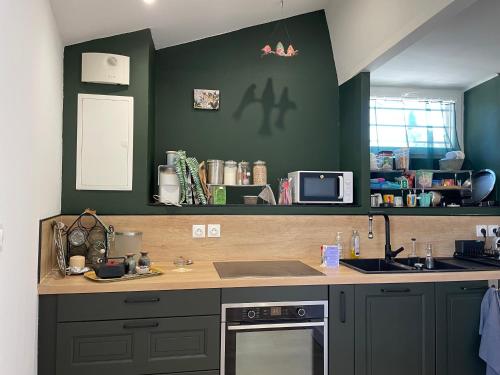 d'une cuisine avec des murs verts, un évier et une cuisinière. dans l'établissement Petite maison de ville avec jardin quartier calme, à Nîmes