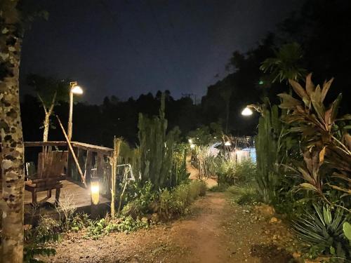 a dirt road in a garden at night at Vuglamping in Hue