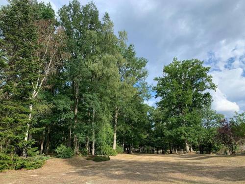 Jardín al aire libre en Maisonnette en clairière de forêt