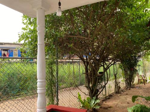 Jardín al aire libre en Velvette Home Hikkaduwa