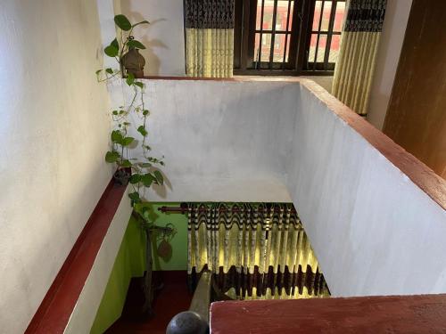 Imagen de la galería de Velvette Home Hikkaduwa, en Hikkaduwa