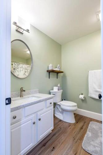 a bathroom with a sink and a toilet and a mirror at The Queen Place - Updated-Private Backyard in Gordonville