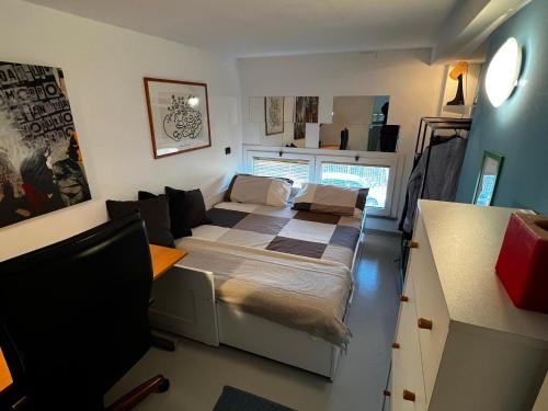 Ampio Loft su due livelli con giardino