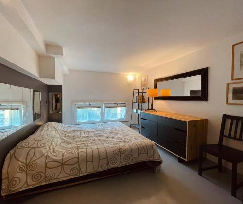 Ampio Loft su due livelli con giardino