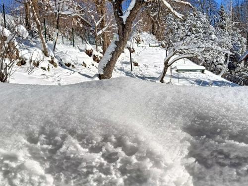 ミルフカにあるPod Modrzewiamiの木前積雪