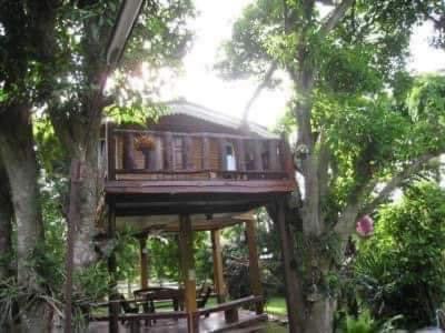 a tree house in the middle of some trees at อิงภูเมาท์เท่นวิว เขาใหญ่ 