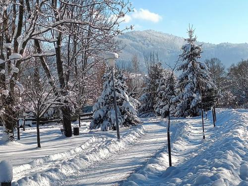 ミルフカにあるPod Modrzewiamiの雪に覆われた木々と街灯のある公園