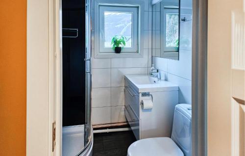 Cozy Apartment In Rjukan With House A Panoramic View في ريوكان: حمام مع مرحاض ومغسلة ونافذة