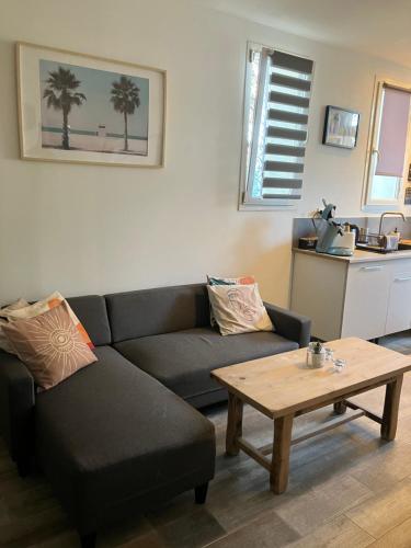 un salon avec un canapé et une table basse dans l'établissement L'appartement de Gaston, à Les Sablettes