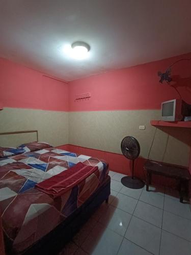 a bedroom with a bed and a tv on the wall at Hotel Sleep Inn Brumas in Jinotega