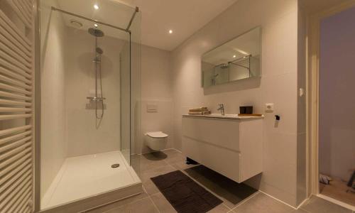 een badkamer met een douche, een wastafel en een toilet bij Hofje van Sint Jan in Gouda