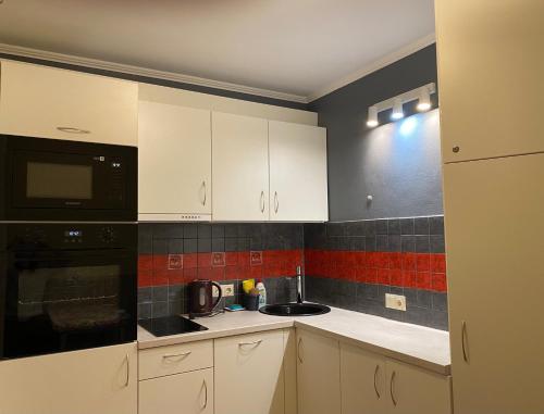 Dapur atau dapur kecil di Cat Garden Family Apartments Riga