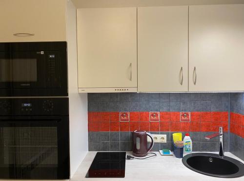 Dapur atau dapur kecil di Cat Garden Family Apartments Riga