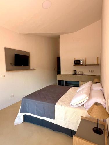 a bedroom with a large bed and a flat screen tv at Hotel Cerros del Norte in Tilcara