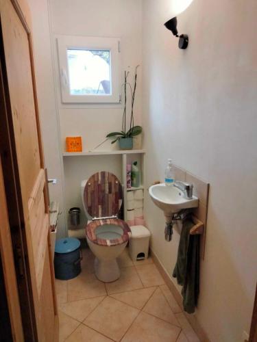 une petite salle de bain avec toilettes et lavabo dans l'établissement La maison du colibri, à Boudou