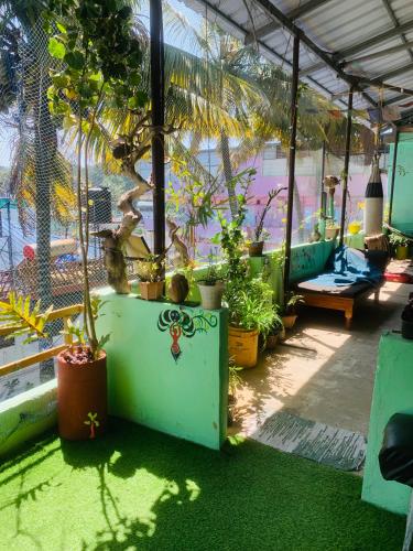 Taman di luar Mountain View Homestay