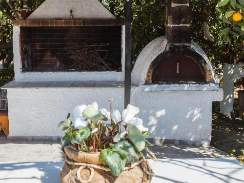 a potted plant in front of a brick oven at CottonClub Villas in Tolo