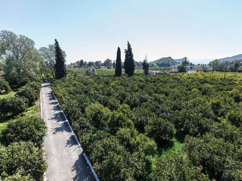 a path through a field with trees and bushes at CottonClub Villas in Tolo