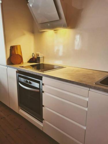 a kitchen with a stove and a sink at Cosy Holiday Apt Close to Gondola and Town Center in Narvik