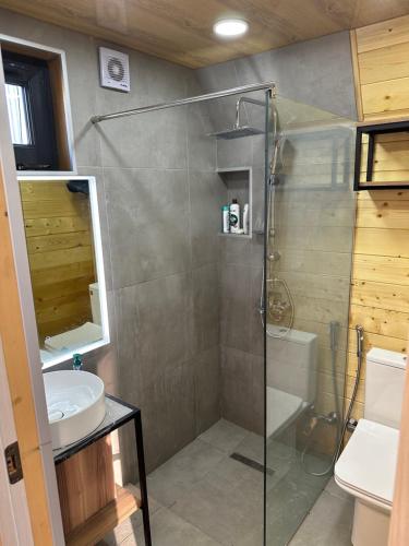 a bathroom with a shower and a toilet and a sink at A Frame Denver in Ashtarak